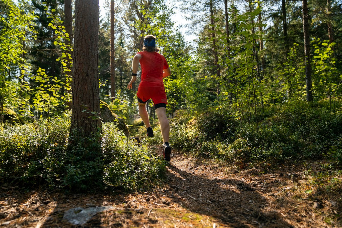 A runner moving along a forest trail in the sunshine
